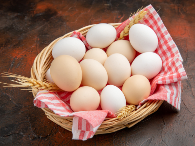 Egg-Based Startups Scramble for Success in New AEB Program