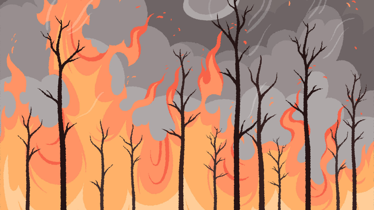 Wildfire in Spain Escalate Climate Warnings, Experts Urge Europe